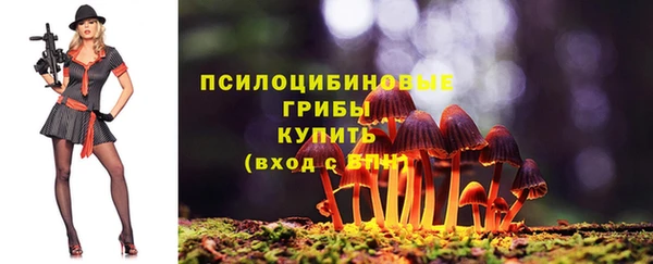 Альфа ПВП Алексеевка