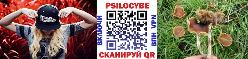 даркнет сайт это как зайти Псилоцибиновые грибы Psilocybe Калининск